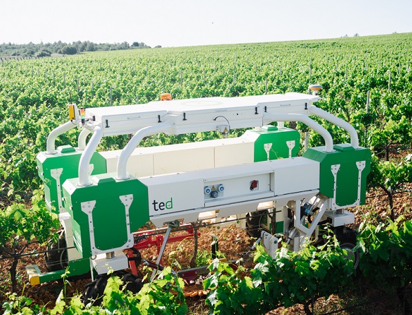 Robot - Naio Ted